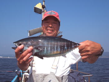 ���W�}�O��