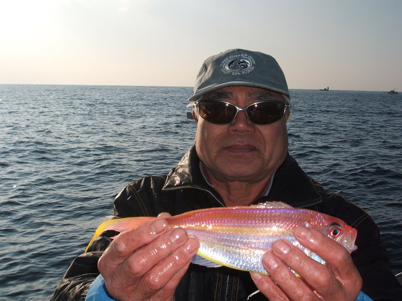 2012_hanawa.jpg