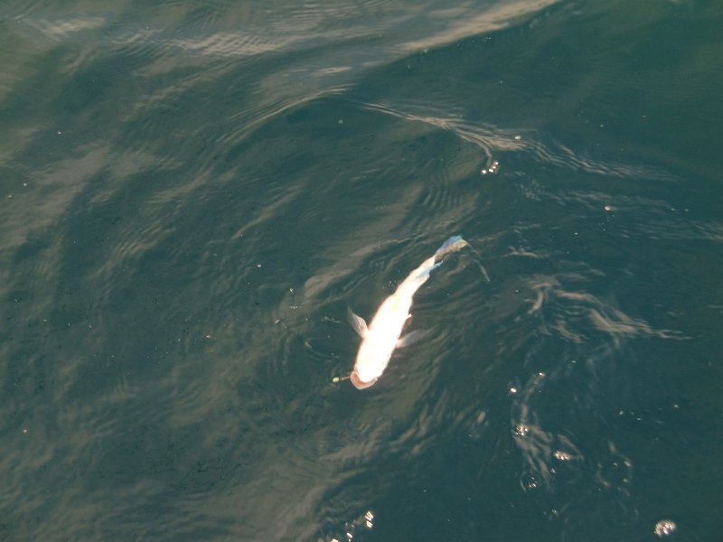 2014_CIMG2607.JPG