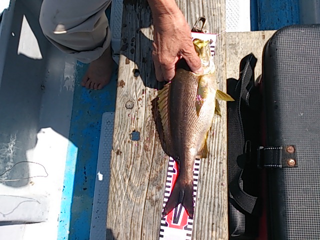 DSC_0874.jpg