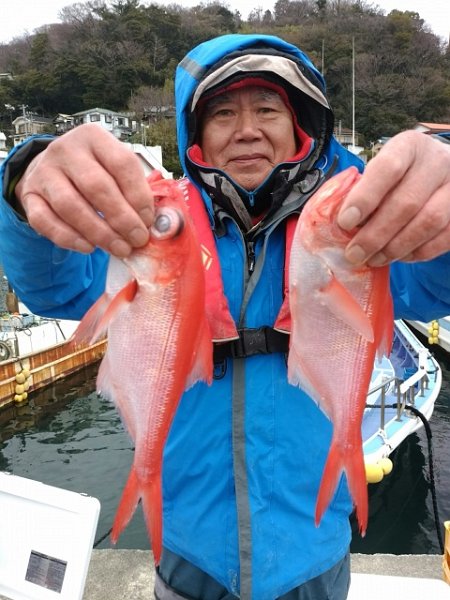 wp-1456292165871.jpg - CREATOR: gd-jpeg v1.0 (using IJG JPEG v62), quality = 95
