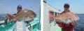 2016.4.16usami
