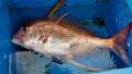 20160416_073103