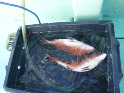 DSCF1265.JPG