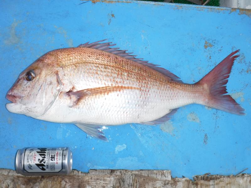 DSCF1282.JPG