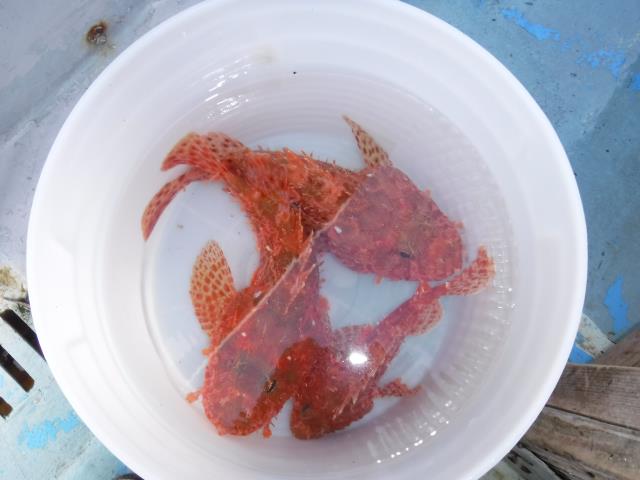 DSCF1480.JPG