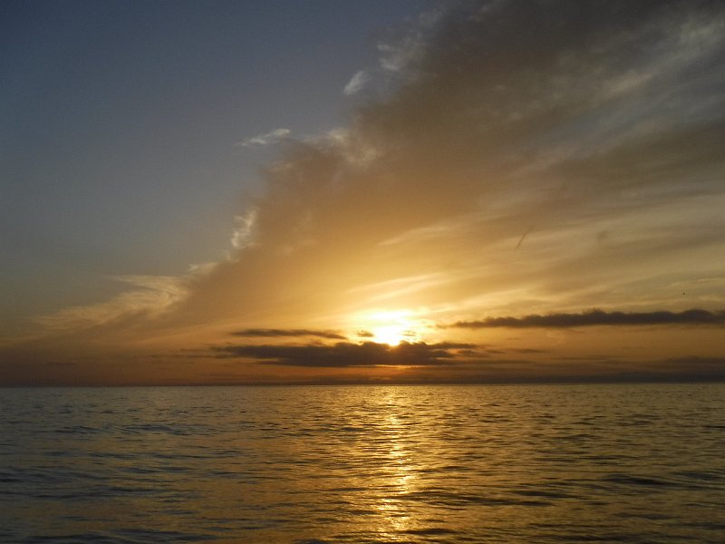 DSCF1985.JPG