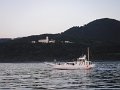 DSCF1982