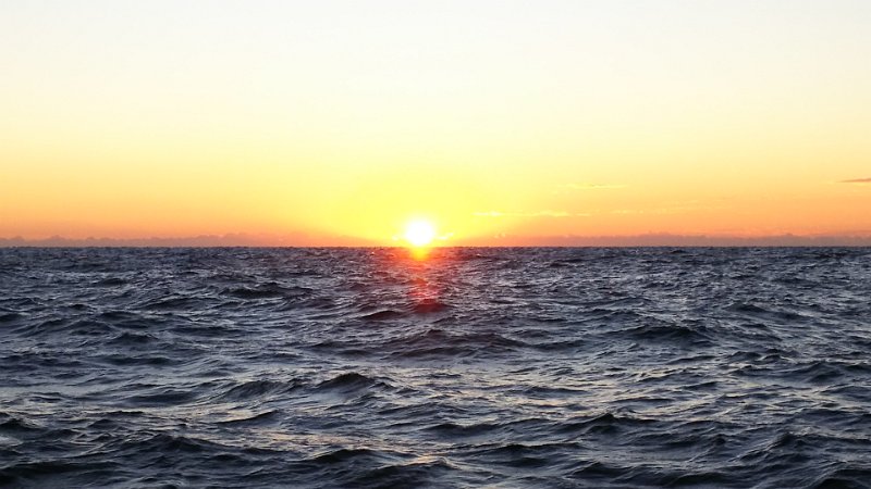 DSC_0183.JPG