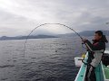 DSCF3488