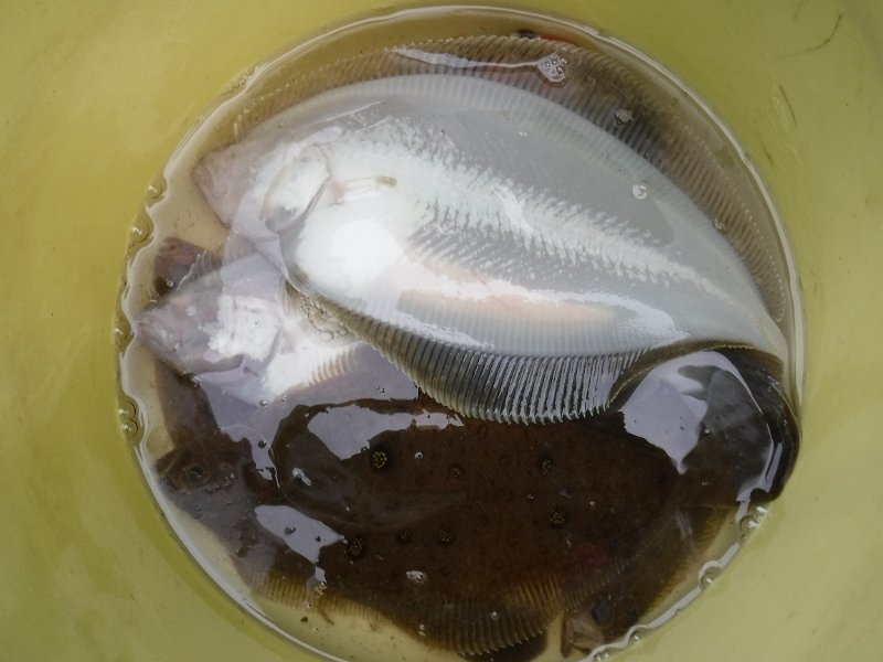 DSCF3495.JPG