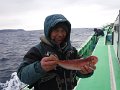 DSCF3497