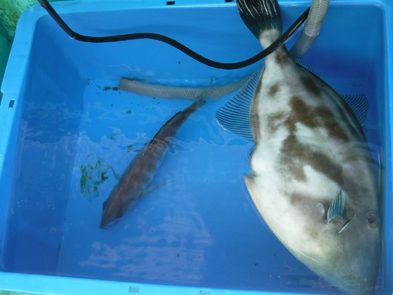 DSCF3533.JPG
