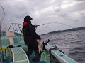DSCF3523