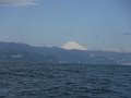 DSCF3529