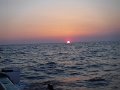 DSCF3540