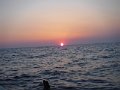 DSCF3542