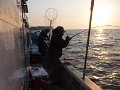 DSCF3544