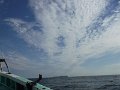 DSCF3881