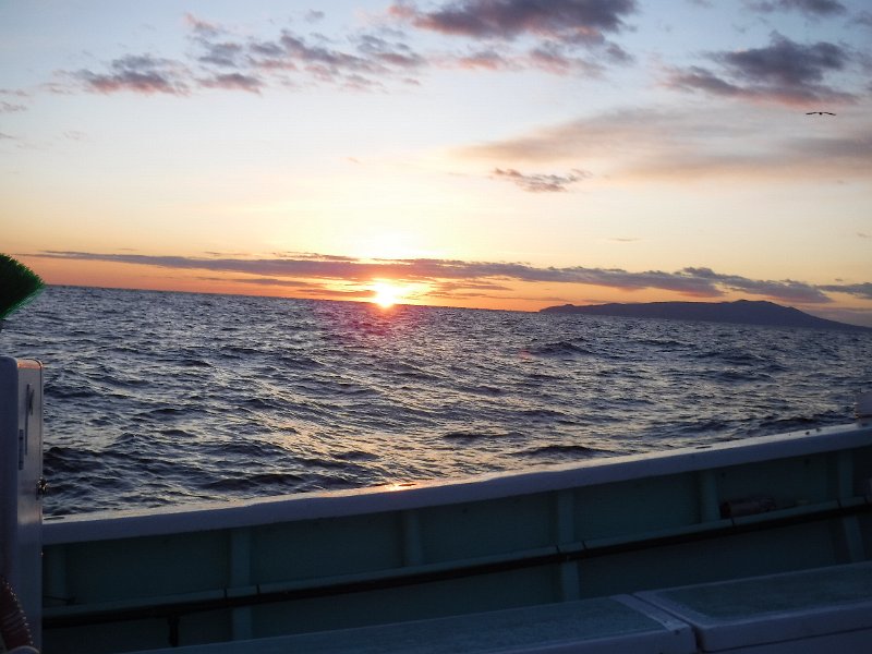 DSCF3991.JPG