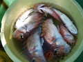 DSCF4014