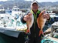 DSCF4073