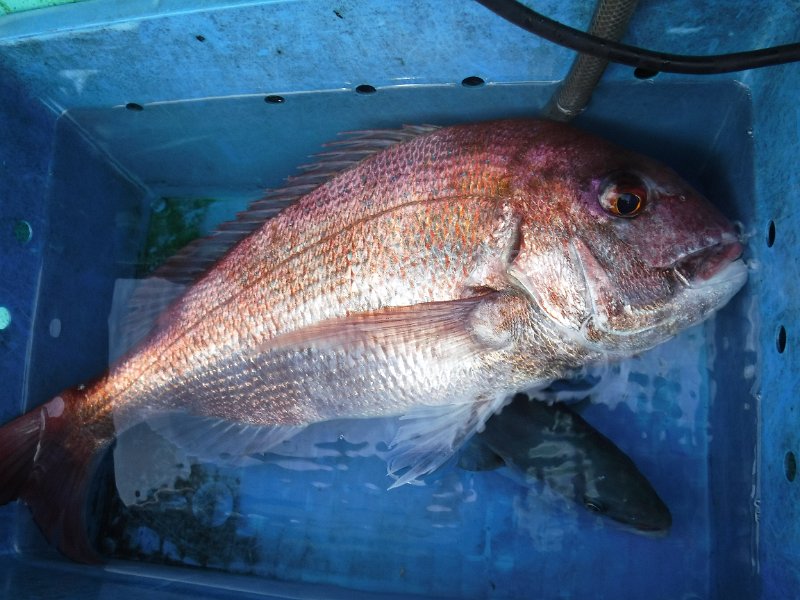 DSCF4152.JPG