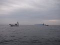 DSCF4204