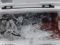 DSCF4210