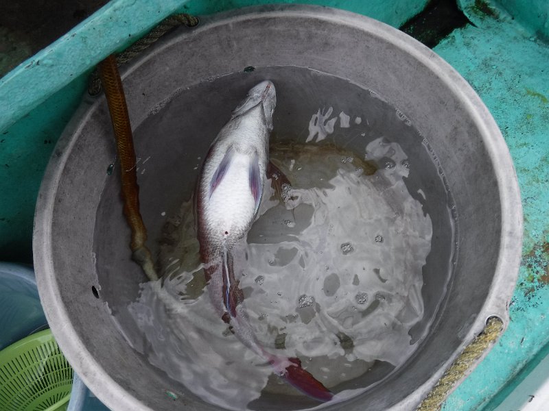 DSCF4374.JPG