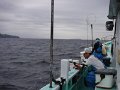 DSCF4436