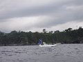 DSCF4440