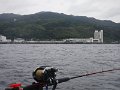 DSCF4443