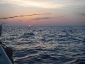 DSCF4459