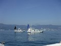 DSCF4471