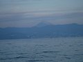 DSCF4494
