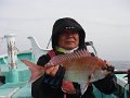 DSCF4506