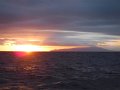 DSCF4515