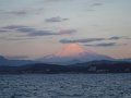 DSCF4533