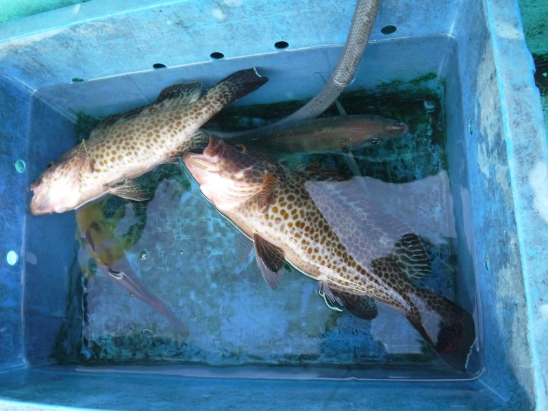DSCF4337.JPG