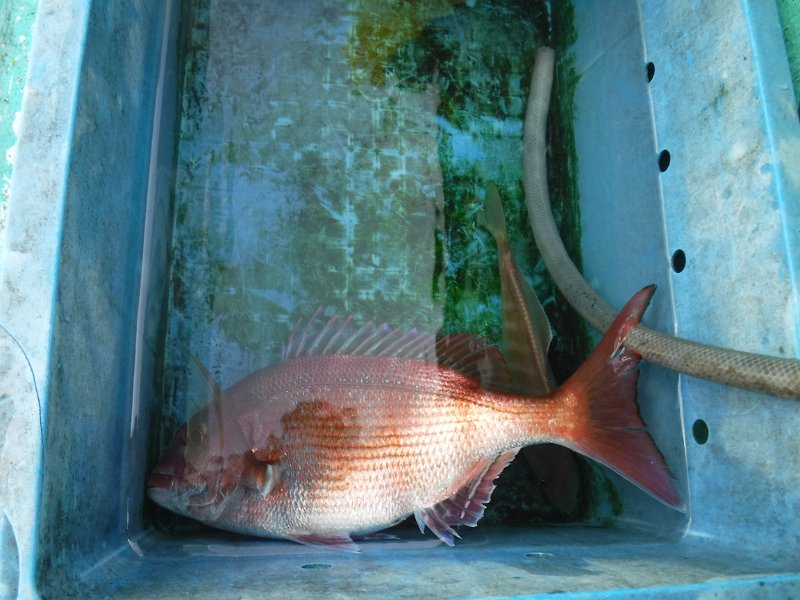 DSCF4343.JPG