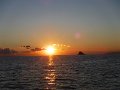 DSCF4568