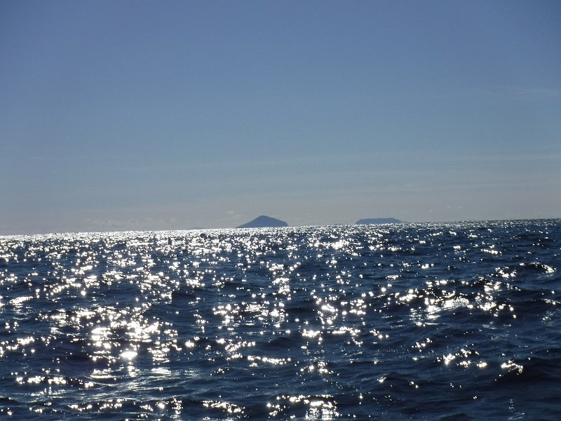 DSCF4603.JPG