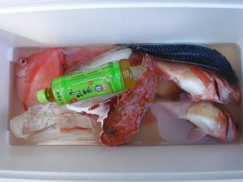 DSCF4614.JPG