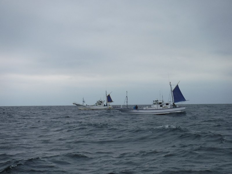 DSCF4673.JPG