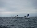 DSCF4673