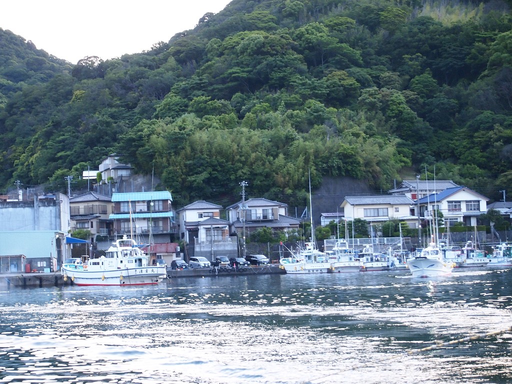 P5294226.JPG