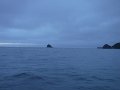 DSCF4733