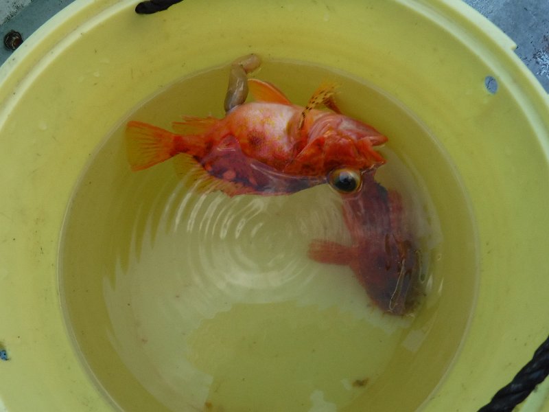 DSCF4757.JPG