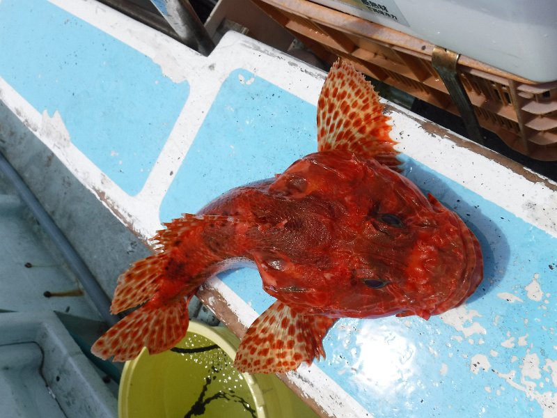 DSCF4760.JPG